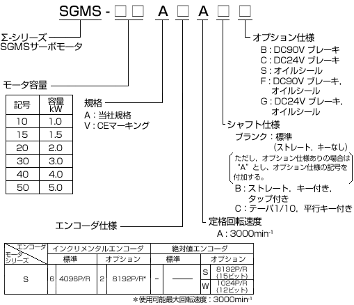 図：SGMS形