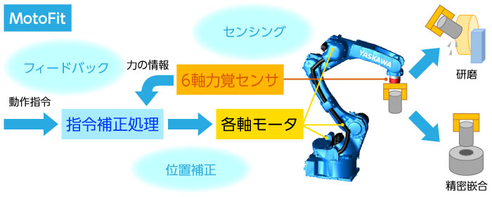 6軸力覚制御機能MotoFitをロボットに搭載し、人の微細な力加減を再現