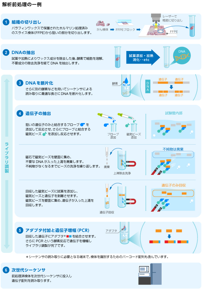 検体の前処理の一例