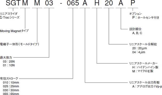 図：SGTMM形