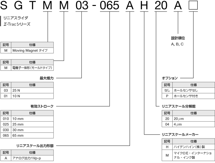 図：SGTMM形